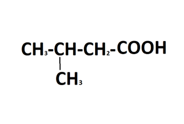Метилбутановая кислота 3